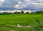 ที่ดินบรรพตพิสัย นครสวรรค์, นครสวรรค์