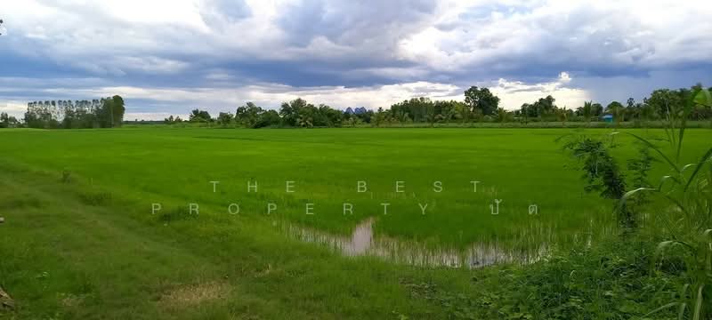 ที่ดินบรรพตพิสัย นครสวรรค์, Nakhon Sawan, Ta Khit, Banphot Phisai, Nakhon Sawan, , 18,260 sqm, Land For Sale, by The Best Property ปัต, 500379870 - DDproperty.com