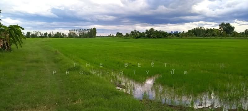 ที่ดินบรรพตพิสัย นครสวรรค์, Nakhon Sawan, Ta Khit, Banphot Phisai, Nakhon Sawan, , 18,260 sqm, Land For Sale, by The Best Property ปัต, 500379870 - DDproperty.com