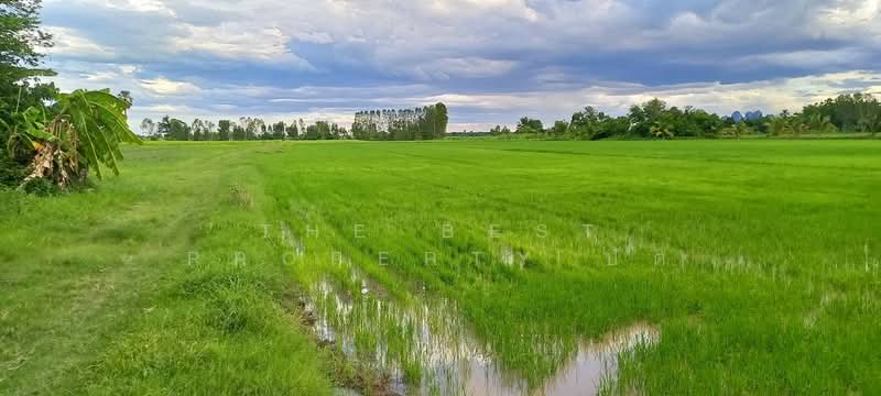 ที่ดินบรรพตพิสัย นครสวรรค์, Nakhon Sawan, Ta Khit, Banphot Phisai, Nakhon Sawan, , 18,260 sqm, Land For Sale, by The Best Property ปัต, 500379870 - DDproperty.com