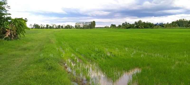 ที่ดินบรรพตพิสัย นครสวรรค์, นครสวรรค์, ตาขีด, บรรพตพิสัย, นครสวรรค์, 18,260 ตร.ม., ที่ดิน ขาย, โดย The Best Property ปัต, 500379870 - DDproperty.com