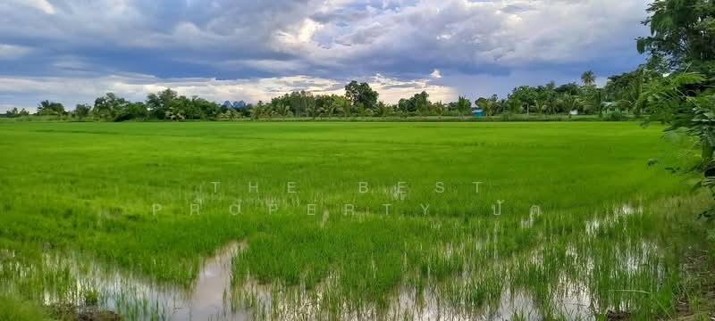ที่ดินบรรพตพิสัย นครสวรรค์, นครสวรรค์, ตาขีด, บรรพตพิสัย, นครสวรรค์, 18,260 ตร.ม., ที่ดิน ขาย, โดย The Best Property ปัต, 500379870 - DDproperty.com