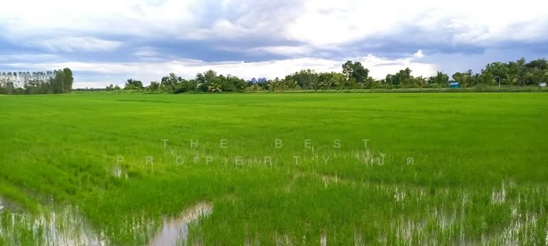 ที่ดินบรรพตพิสัย นครสวรรค์, Nakhon Sawan, Ta Khit, Banphot Phisai, Nakhon Sawan, , 18,260 sqm, Land For Sale, by The Best Property ปัต, 500379870 - DDproperty.com