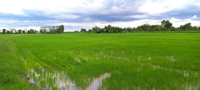 ที่ดินบรรพตพิสัย นครสวรรค์, Nakhon Sawan, Ta Khit, Banphot Phisai, Nakhon Sawan, , 18,260 sqm, Land For Sale, by The Best Property ปัต, 500379870 - DDproperty.com