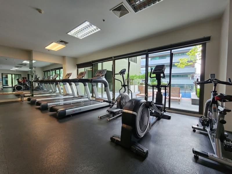 Noble Solo, Bangkok, 988 Thong Lo, Khlong Tan Nua, Watthana, Bangkok, 1 Bedroom, 70 sqm, Condo For Rent, by Bangkok Residential, 500380145 - DDproperty.com