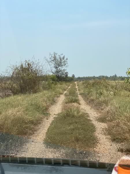 ที่ดินองครักษ์ นครนายก, Nakhon Nayok, Pho Thaen, Ongkharak, Nakhon Nayok, , 4,800 sqm, Land For Sale, by The Best Property ไก่, 500380233 - DDproperty.com
