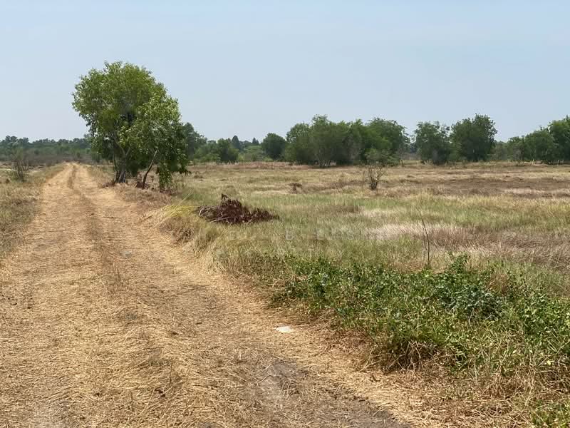 ที่ดินองครักษ์ นครนายก, Nakhon Nayok, Pho Thaen, Ongkharak, Nakhon Nayok, , 4,800 sqm, Land For Sale, by The Best Property ไก่, 500380233 - DDproperty.com