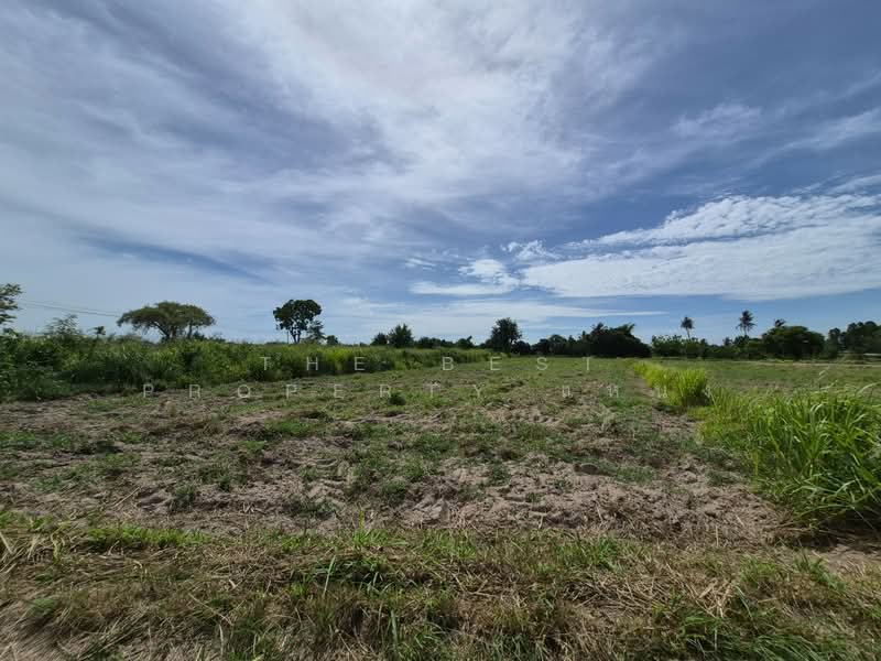 ที่ดินพานทอง ชลบุรี, Chon Buri (Pattaya), Nong Tamlung, Phan Thong, Chon Buri (Pattaya), , 4,396 sqm, Land For Sale, by The Best Property แหน่ง, 500380301 - DDproperty.com