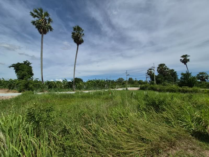 ที่ดินพานทอง ชลบุรี, Chon Buri (Pattaya), Nong Tamlung, Phan Thong, Chon Buri (Pattaya), , 4,396 sqm, Land For Sale, by The Best Property แหน่ง, 500380301 - DDproperty.com