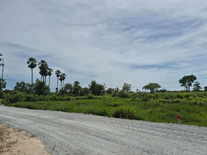 ที่ดินพานทอง ชลบุรี, Chon Buri (Pattaya), Nong Tamlung, Phan Thong, Chon Buri (Pattaya), , 4,396 sqm, Land For Sale, by The Best Property แหน่ง, 500380301 - DDproperty.com