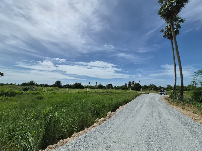 ที่ดินพานทอง ชลบุรี, Chon Buri (Pattaya), Nong Tamlung, Phan Thong, Chon Buri (Pattaya), , 4,396 sqm, Land For Sale, by The Best Property แหน่ง, 500380301 - DDproperty.com