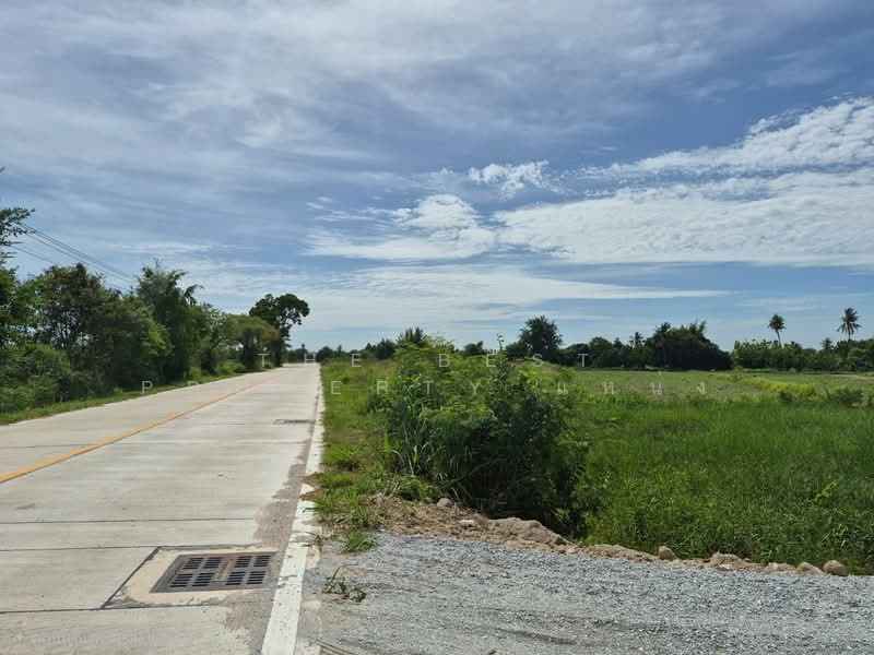 ที่ดินพานทอง ชลบุรี, Chon Buri (Pattaya), Nong Tamlung, Phan Thong, Chon Buri (Pattaya), , 4,396 sqm, Land For Sale, by The Best Property แหน่ง, 500380301 - DDproperty.com