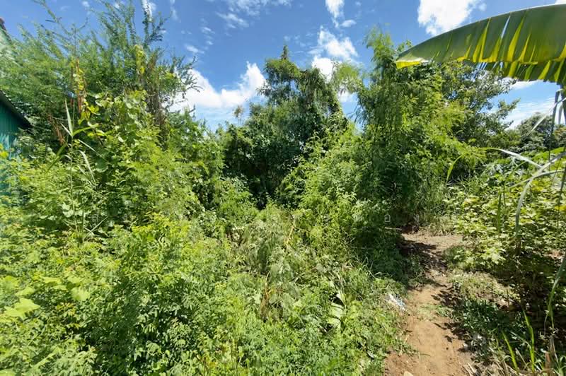 ขายที่ดิน 133 ตร.วา ถนนศรีด่าน22 ถนนศรีนครินทร์ ใกล้รถไฟฟ้าสายสีเหลือง, สมุทรปราการ, บางแก้ว, บางพลี, สมุทรปราการ, 532 ตร.ม., ที่ดิน ขาย, โดย สง่าชัย ไทรทองคำ, 500380317 - DDproperty.com