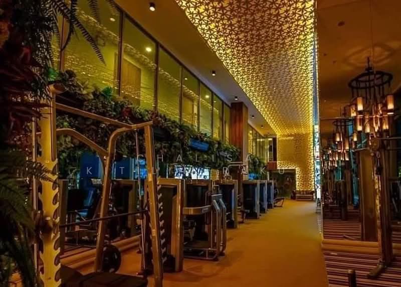 The Riviera Jomtien : เดอะ ริเวียร่า จอมเทียน, ชลบุรี, ถนนพัทยาสาย 2, หนองปรือ, บางละมุง, ชลบุรี, 35 ตร.ม., คอนโด ให้เช่า, โดย Chalisa Kitilimtrakul, 500380456 - DDproperty.com