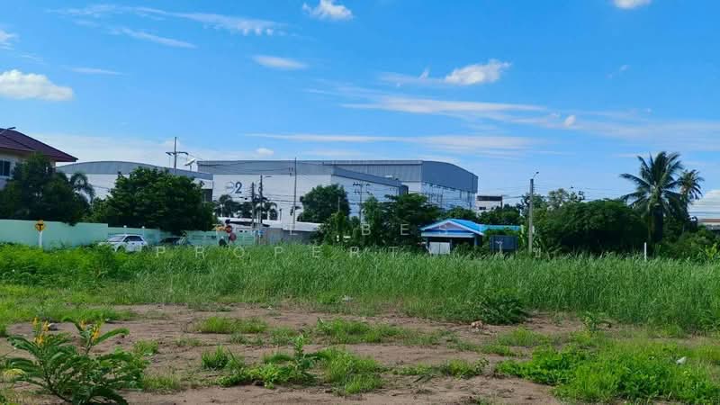 ที่ดินปากเกร็ด นนทบุรี, Nonthaburi, Om Kret, Pak Kret, Nonthaburi, , 4,000 sqm, Land For Sale, by The Best Property ไข่, 500380513 - DDproperty.com