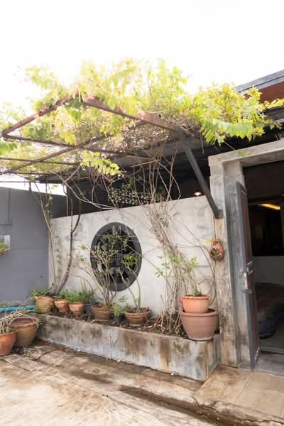 House at Chalong Phuket, Phuket, Chalong, Muang Phuket, Phuket, 2 Bedrooms, 80 sqm, Semi-Detached House (Twin House) For Rent, by peime Aye, 500380548 - DDproperty.com