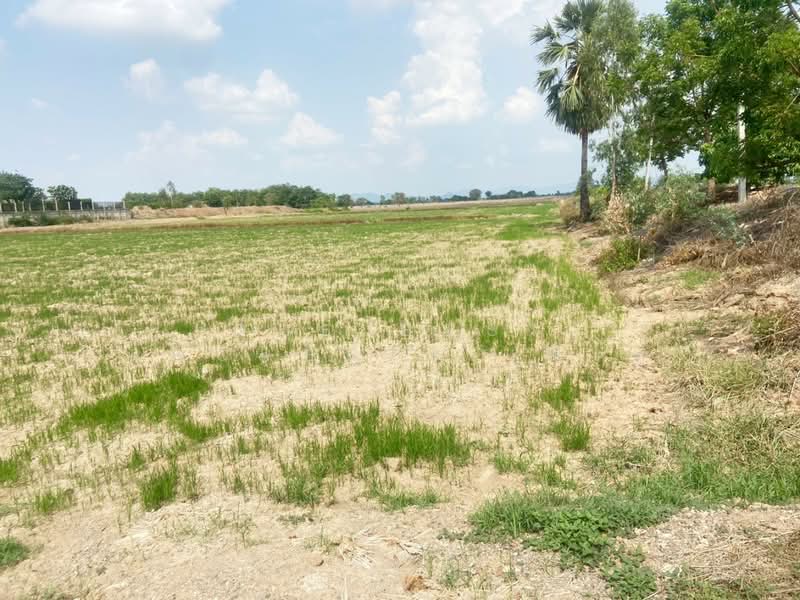 ที่ดินท่าตะโก นครสวรรค์, Nakhon Sawan, Thammop, Tha Tako, Nakhon Sawan, , 22,208 sqm, Land For Sale, by The Best Property เฟิร์ท, 500380596 - DDproperty.com