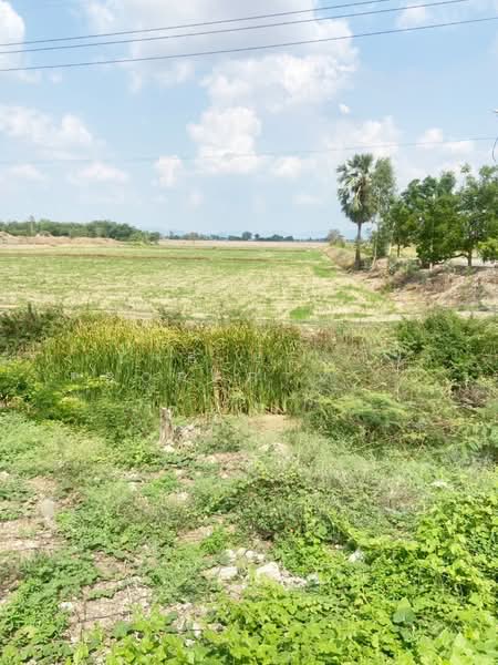 ที่ดินท่าตะโก นครสวรรค์, Nakhon Sawan, Thammop, Tha Tako, Nakhon Sawan, , 22,208 sqm, Land For Sale, by The Best Property เฟิร์ท, 500380596 - DDproperty.com