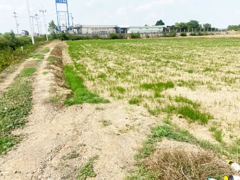 ที่ดินท่าตะโก นครสวรรค์, นครสวรรค์, ทำนบ, ท่าตะโก, นครสวรรค์, 22,208 ตร.ม., ที่ดิน ขาย, โดย The Best Property เฟิร์ท, 500380596 - DDproperty.com