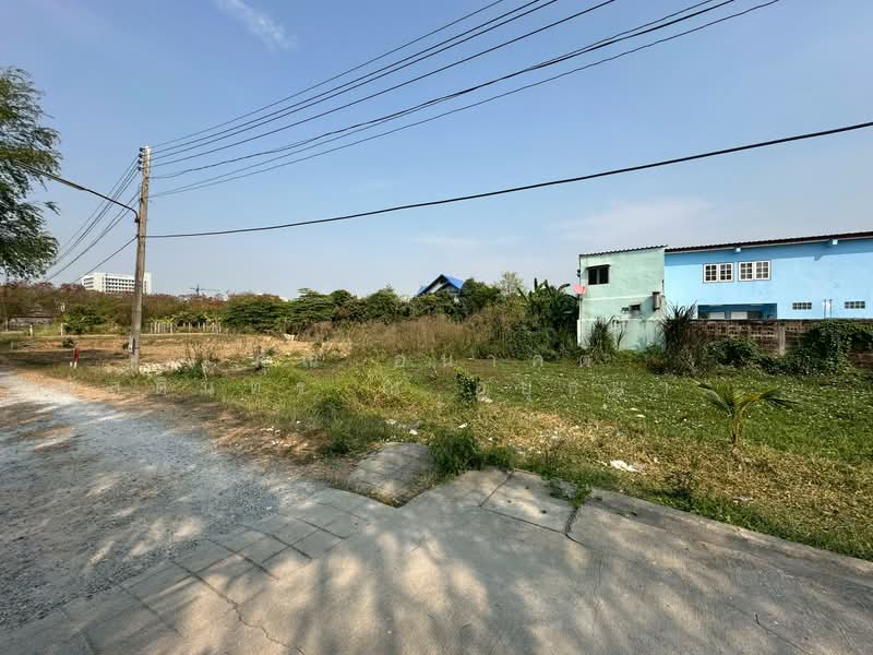ที่ดินเปล่า ซอยไผ่เตย 1 แปลงริม หลังบิ๊กซี ห้วยจรเข้ - นครปฐม, Nakhon Pathom, ไผ่เตย, Huai Chorakhe, Muang Nakhon Pathom, Nakhon Pathom, , 884 sqm, Land For Sale, by คุณ อนาคต หัสดินทร ณ อยุธยา ( อนาคต ), 500380906 - DDproperty.com
