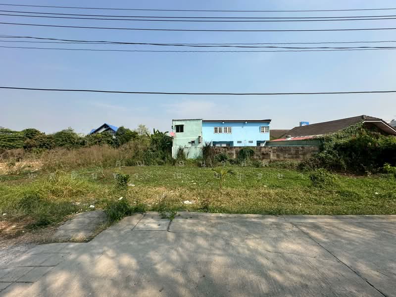 ที่ดินเปล่า ซอยไผ่เตย 1 แปลงริม หลังบิ๊กซี ห้วยจรเข้ - นครปฐม, Nakhon Pathom, ไผ่เตย, Huai Chorakhe, Muang Nakhon Pathom, Nakhon Pathom, , 884 sqm, Land For Sale, by คุณ อนาคต หัสดินทร ณ อยุธยา ( อนาคต ), 500380906 - DDproperty.com