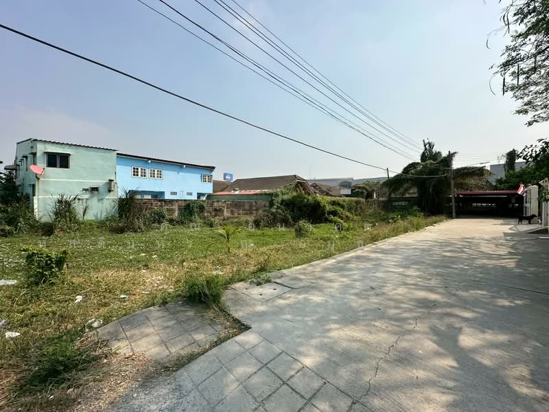 ที่ดินเปล่า ซอยไผ่เตย 1 แปลงริม หลังบิ๊กซี ห้วยจรเข้ - นครปฐม, Nakhon Pathom, ไผ่เตย, Huai Chorakhe, Muang Nakhon Pathom, Nakhon Pathom, , 884 sqm, Land For Sale, by คุณ อนาคต หัสดินทร ณ อยุธยา ( อนาคต ), 500380906 - DDproperty.com