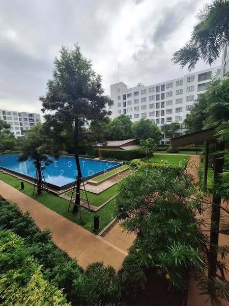 Dcondo Nim, Chiang Mai, 239 Hwy Chiang Mai-Lampang Frontage Road, Fa Ham, Muang Chiang Mai, Chiang Mai, 1 Bedroom, 37 sqm, Condo For Rent, by Best Choice Property, 500380981 - DDproperty.com