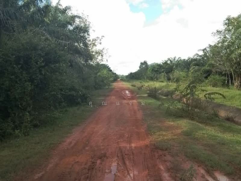 นอกโครงการนครศรีธรรมราช, Nakhon Si Thammarat, Tha Yang, Thung Yai, Nakhon Si Thammarat, , 392 sqm, Land For Sale, by คุณแจม, 500381054 - DDproperty.com