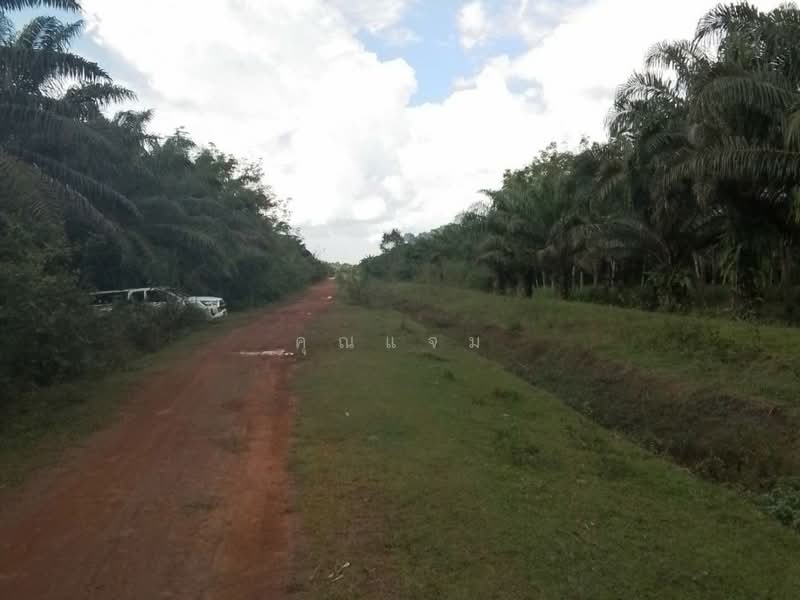 นอกโครงการนครศรีธรรมราช, Nakhon Si Thammarat, Tha Yang, Thung Yai, Nakhon Si Thammarat, , 392 sqm, Land For Sale, by คุณแจม, 500381054 - DDproperty.com