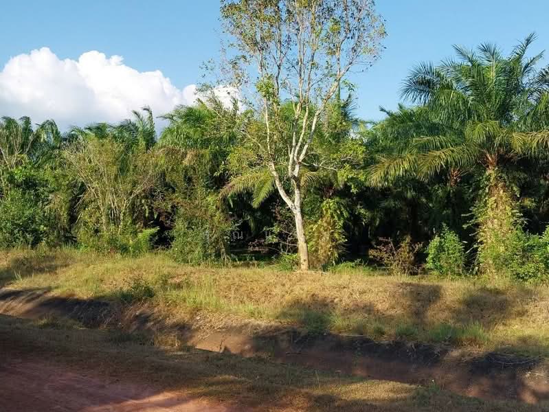 นอกโครงการนครศรีธรรมราช, Nakhon Si Thammarat, Tha Yang, Thung Yai, Nakhon Si Thammarat, , 392 sqm, Land For Sale, by คุณแจม, 500381054 - DDproperty.com