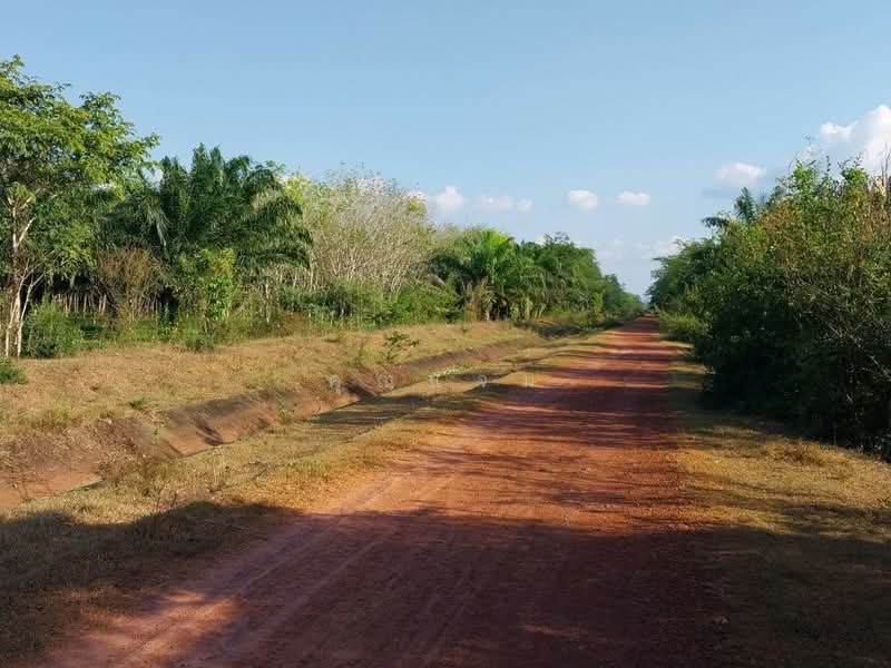 นอกโครงการนครศรีธรรมราช, Nakhon Si Thammarat, Tha Yang, Thung Yai, Nakhon Si Thammarat, , 392 sqm, Land For Sale, by คุณแจม, 500381054 - DDproperty.com