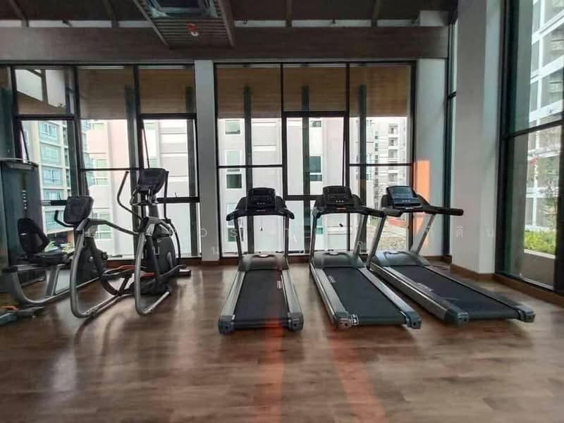 Dcondo Rin, Chiang Mai, Super Highway Rd. Chiang Mai - Lampang, Fa Ham, Muang Chiang Mai, Chiang Mai, 1 Bedroom, 30 sqm, Condo For Rent, by The Positive ที่ดิน บ้าน คอนโด, 500381172 - DDproperty.com