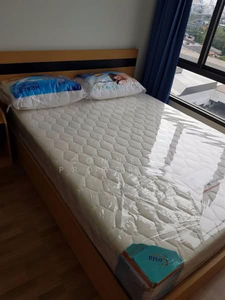 IDEO Blucove Sukhumvit, Bangkok, 2952 Sukhumvit Road, Bang Na, Bangkok, 1 Bedroom, 34 sqm, Condo For Rent, by Connex Property, 500381179 - DDproperty.com