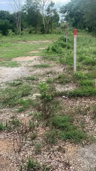 ที่ดินนาดี อุดรธานี, Udon Thani, Na Di, Muang Udon Thani, Udon Thani, , 1,600 sqm, Land For Sale, by The Best Property นก, 500381268 - DDproperty.com