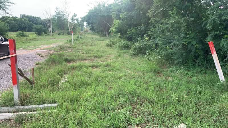 ที่ดินนาดี อุดรธานี, Udon Thani, Na Di, Muang Udon Thani, Udon Thani, , 1,600 sqm, Land For Sale, by The Best Property นก, 500381268 - DDproperty.com
