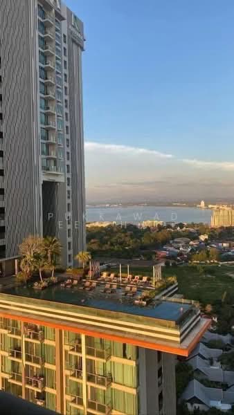 The Riviera Wongamat, Chon Buri (Pattaya), Na Kluea 16 Alley, Na Kloe, Bang Lamung (Pattaya), Chon Buri (Pattaya), Studio, 31 sqm, Condo For Rent, by Pukkawadee Thapmathi, 500381291 - DDproperty.com