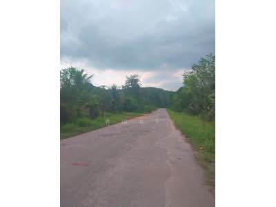 ขาย - ที่ดินว่างเปล่านราธิวาส, นราธิวาส