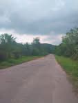 ที่ดินว่างเปล่านราธิวาส, นราธิวาส