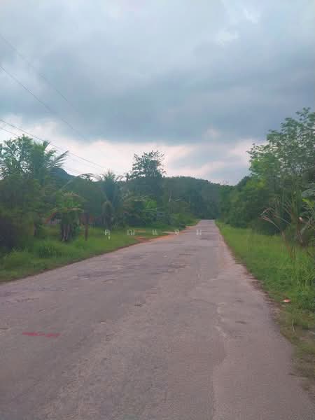 ที่ดินว่างเปล่านราธิวาส, Narathiwat, Lochut, Waeng, Narathiwat, , 104 sqm, Land For Sale, by คุณแจม, 500381336 - DDproperty.com