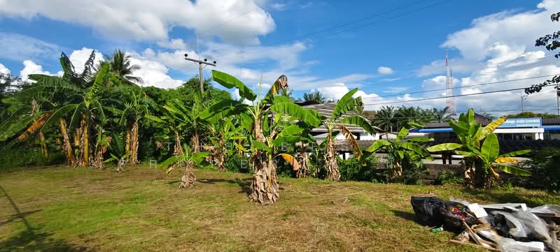 ที่ดินท่าเรือ นครศรีธรรมราช, Nakhon Si Thammarat, Tha Rua, Muang Nakhon Sri Thammarat, Nakhon Si Thammarat, , 1,996 sqm, Land For Sale, by The Best Property นัท, 500381372 - DDproperty.com