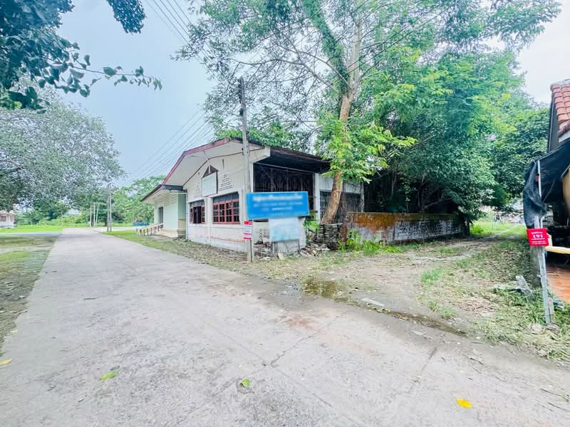 ที่ดินสาริกา นครนายก, Nakhon Nayok, Sarika, Muang Nakhon Nayok, Nakhon Nayok, , 1,096 sqm, Land For Sale, by The Best Property รัตน์, 500381435 - DDproperty.com