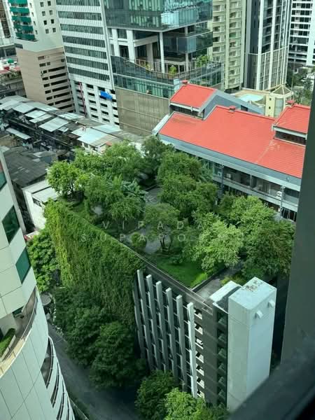 The Edge Sukhumvit 23, Bangkok, 6 Soi Sukhumvit 23, Khlongtoei Nua, Watthana, Bangkok, 1 Bedroom, 30 sqm, Condo For Rent, by Vipada Supaporn, 500381450 - DDproperty.com