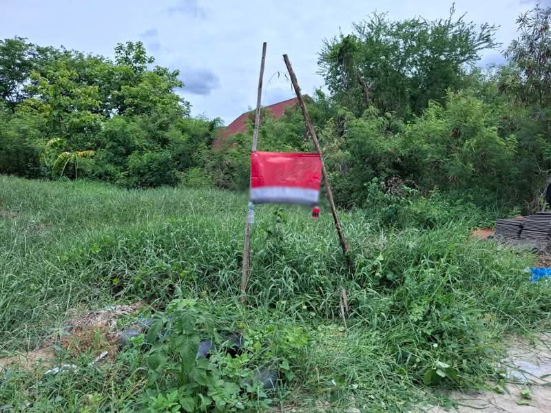 ที่ดินบางเลน นครปฐม, นครปฐม, บางภาษี, บางเลน, นครปฐม, 520 ตร.ม., ที่ดิน ขาย, โดย The Best Property มีมี่, 500381517 - DDproperty.com