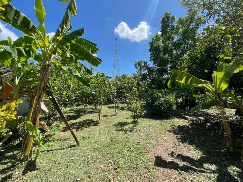 บ้านเดี่ยวบ้านแพ้ว สมุทรสาคร, Samut Sakhon, Rong Khe, Ban Phaeo, Samut Sakhon, 2 Bedrooms, 150 sqm, Single Detached House For Sale, by The Best Property เมย์, 500381578 - DDproperty.com