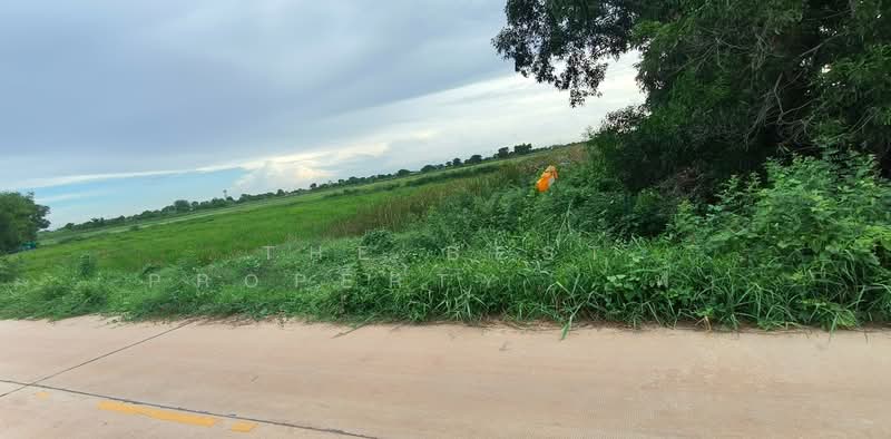 ที่ดินบางคล้า ฉะเชิงเทรา, Chachoengsao, Samet Tai, Bang Khla, Chachoengsao, , 18,216 sqm, Land For Sale, by The Best Property   ฟ้า, 500381706 - DDproperty.com