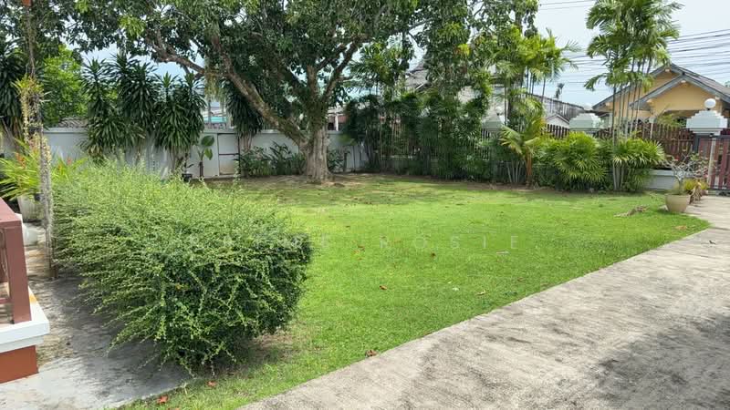 บ้านดอน ถลาง, Phuket, Thep Krasattri, Thalang, Phuket, 3 Bedrooms, 200 sqm, Single Detached House For Rent, by Prime Rosie, 500381780 - DDproperty.com
