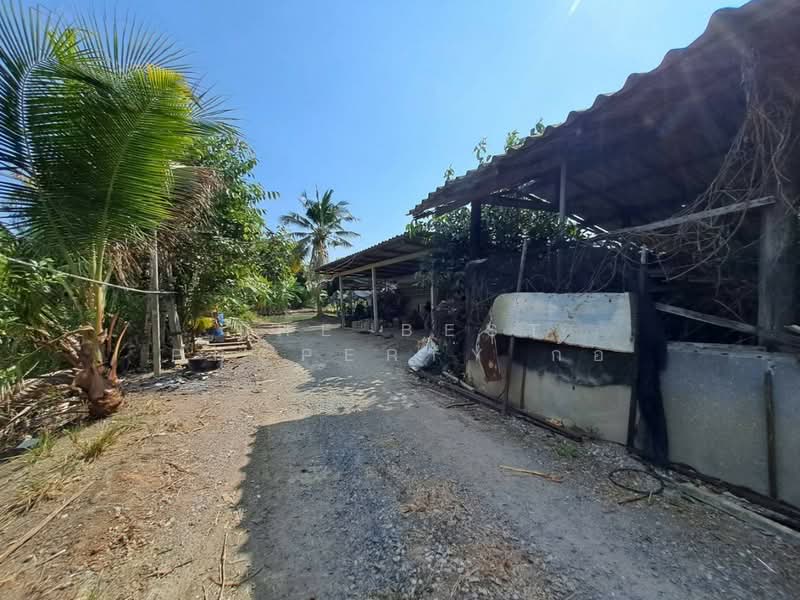 ที่ดินสามพราน นครปฐม, นครปฐม, คลองใหม่, สามพราน, นครปฐม, 15,384 ตร.ม., ที่ดิน ขาย, โดย The Best Property ก้อ, 500381869 - DDproperty.com
