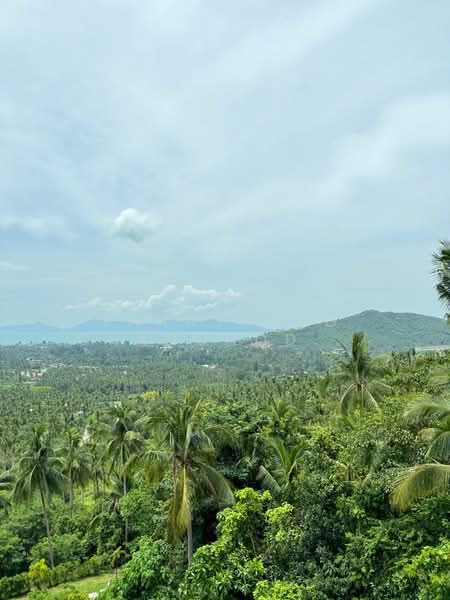 Azur Samui, Surat Thani, Maenam Soi 2, Mae Nam, Ko Samui, Surat Thani, 2 Bedrooms, 175 sqm, Condo For Rent, by Thanyalag Chanchodtanakul, 500381979 - DDproperty.com