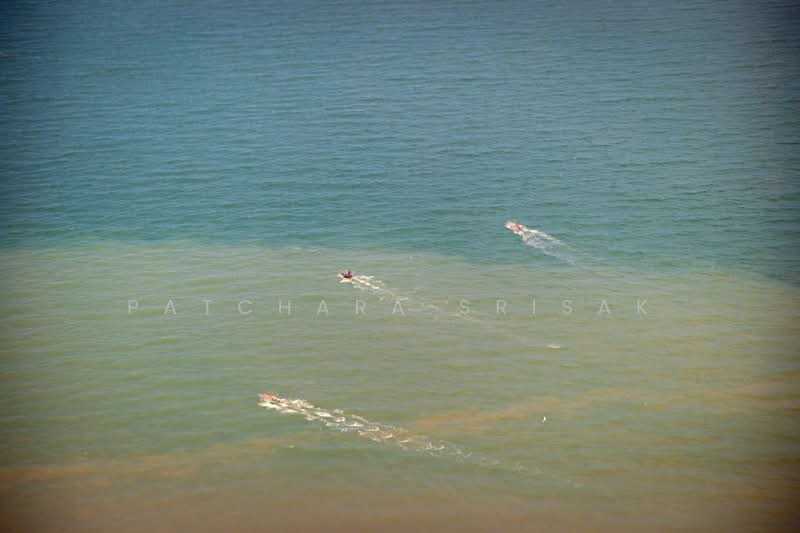 Cetus Beachfront : ซีตัส บีชฟรอนท์, ชลบุรี, หมู่ที่ 12 422 Jomtiensaineung Rd, นาเกลือ, บางละมุง, ชลบุรี, 130 ตร.ม., คอนโด ให้เช่า, โดย Patchara Srisak, 500382108 - DDproperty.com