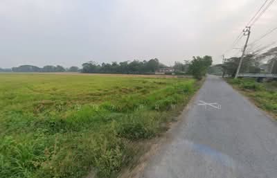 ขาย - ขายที่ดินเปล่า ทำเลหนองจอก กรุงเทพมหานคร, กรุงเทพ